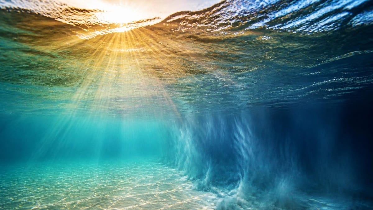 Upalne lato, gorące słońce – a woda w Bałtyku lodowata. To nie przypadek. Za chłodną temperaturę odpowiada upwelling.